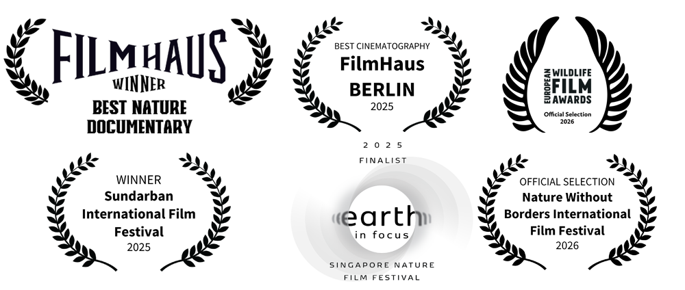 Premios Iberian Savannah 2025