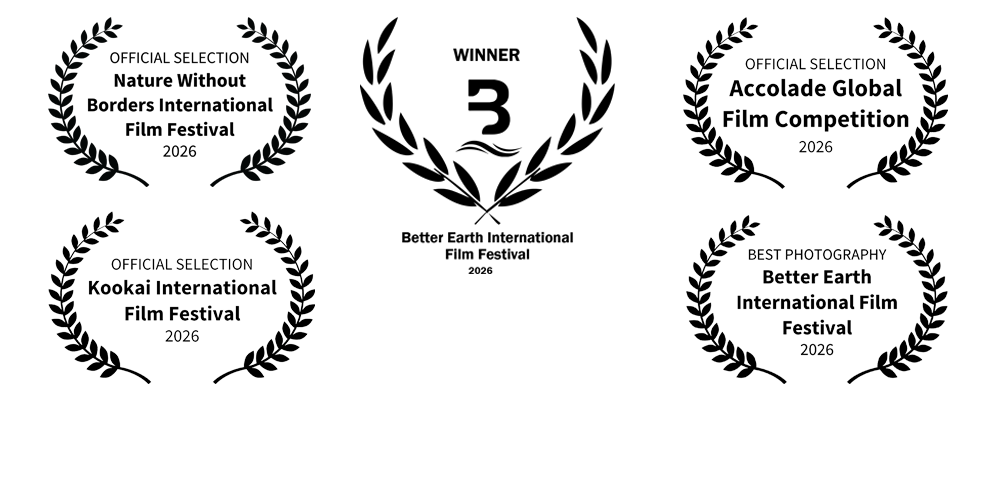 Premios The Savannah Wild Happiness