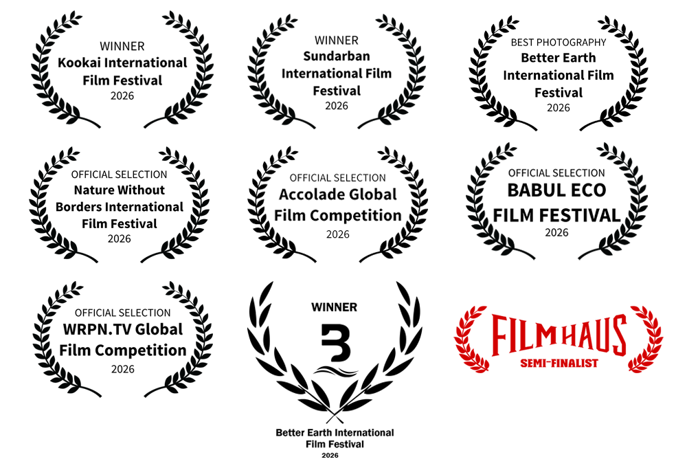 Premios The Savannah Wild Happiness