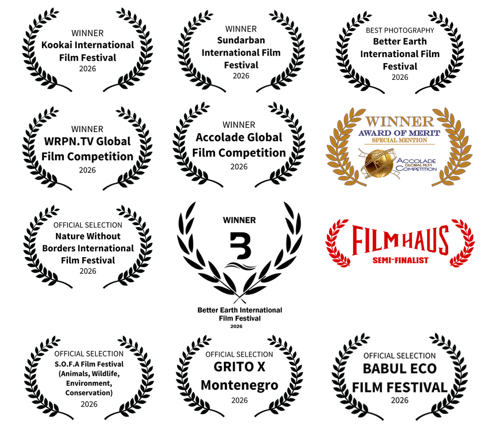 Premios The Savannah Wild Happiness