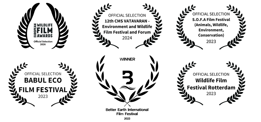 Premio Wild icons of Iberia